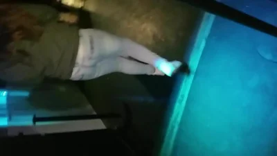 Clbasstn